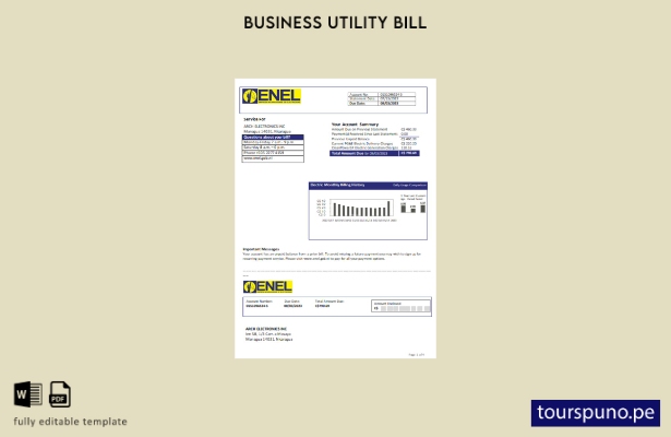 Plantilla de factura comercial de servicios públicos de electricidad lista par 1